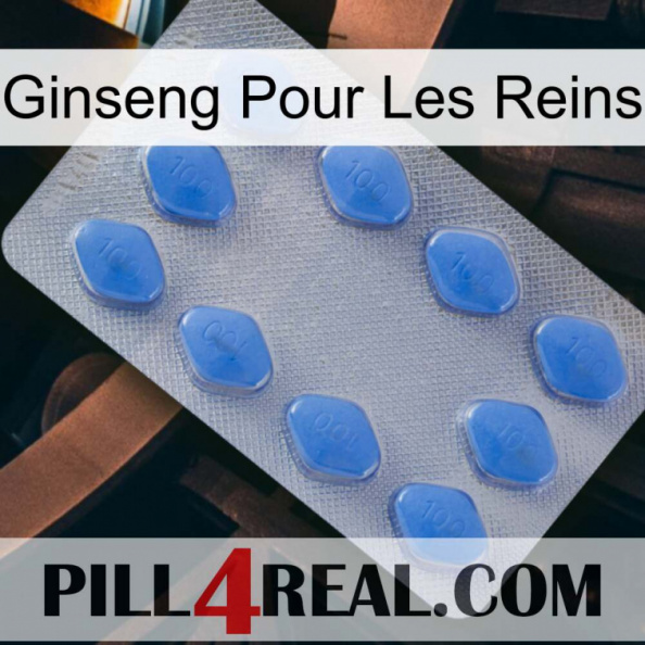 Ginseng For Kidney 21.jpg